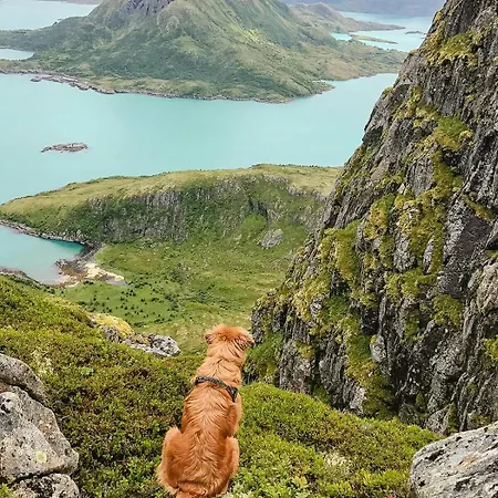 Arctic Family Adventure In Tunstad, Nordnorway