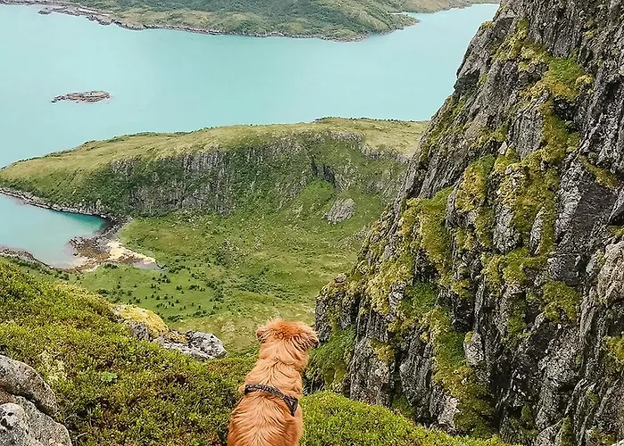 Arctic Family Adventure In Tunstad, Nordnorway