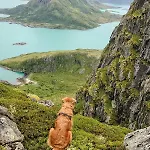 Arctic Family Adventure In Tunstad, Nordnorway